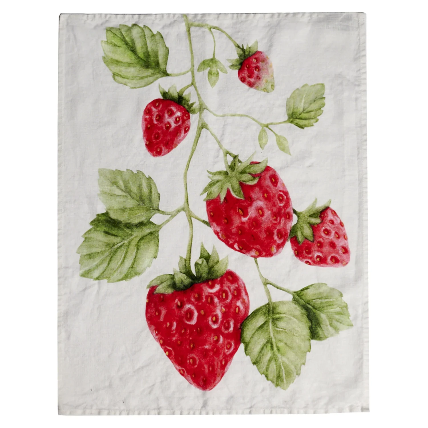 Canovaccio FRAGOLE 50X68cm - Simple Day